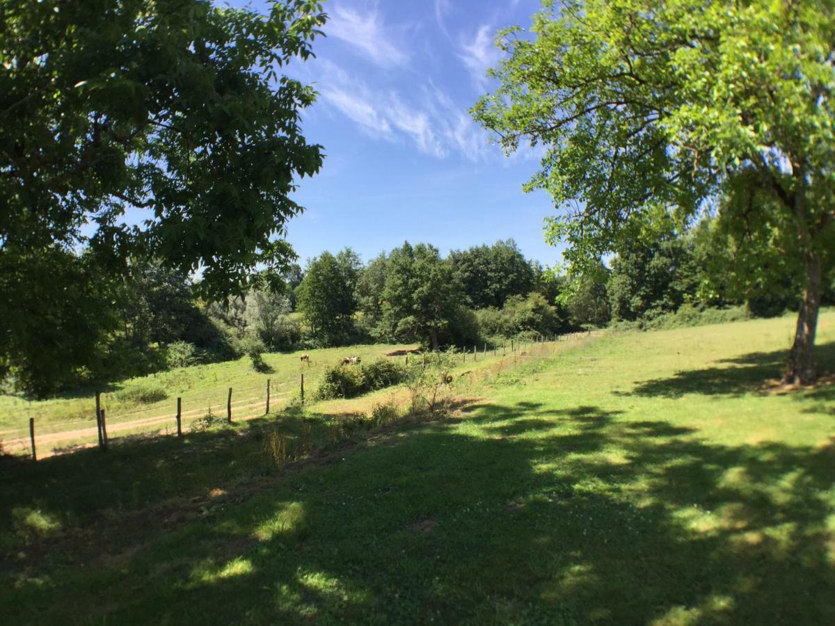 Domaine De La Loge Holiday home *